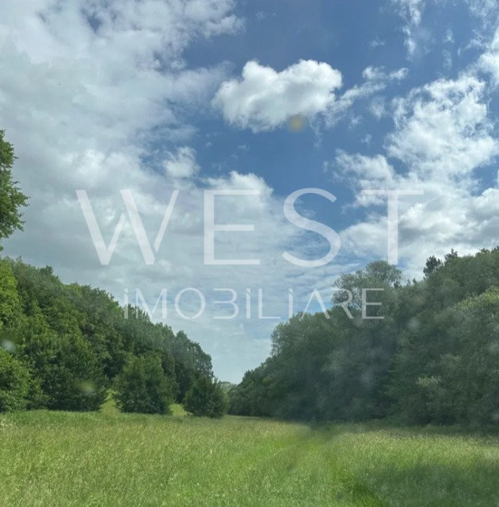 Teren 9,5 ha în Stolna! PADURE DE STEJAR! Ideal ca żona de agrement!