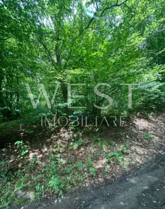 Teren 9,5 ha în Stolna! PADURE DE STEJAR! Ideal ca żona de agrement!