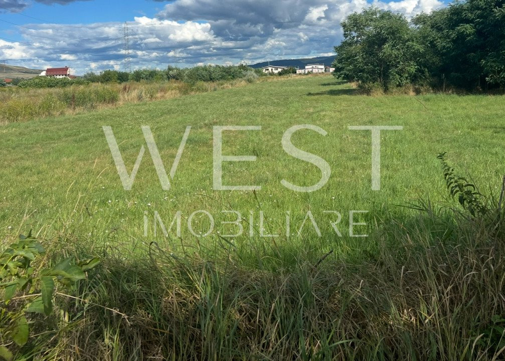 Teren construcții pretabil HALE sau Locuințe!suprafață totala 50.000mp