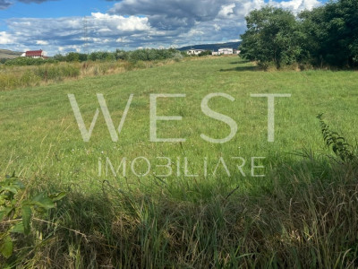Teren construcții pretabil HALE sau Locuințe!suprafață totala 50.000mp