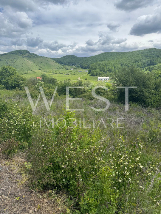 Teren intravilan, 478 mp, pretabil pentru casa, zona ANL Floresti