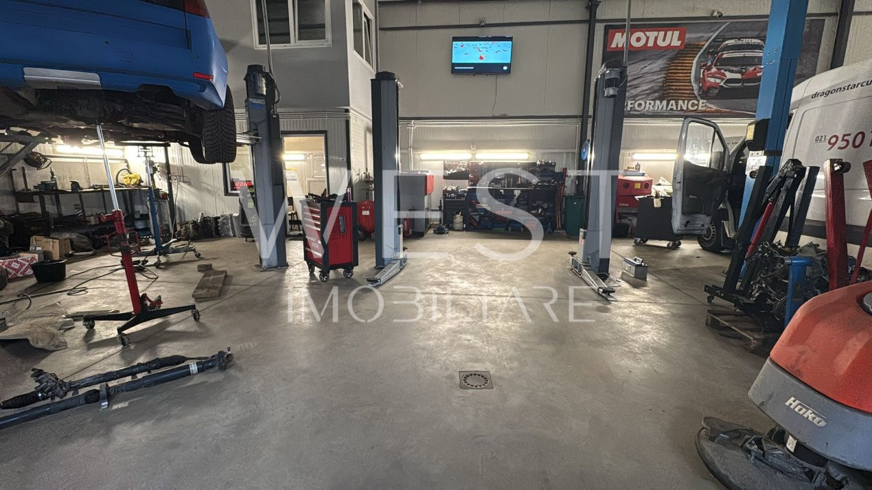 Service Auto Echipat Complet | Curte & Birouri | Zona Someșeni