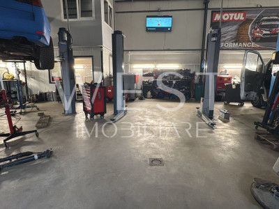Service Auto Echipat Complet | Curte & Birouri | Zona Someșeni