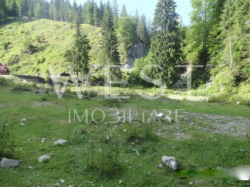 Teren 1000mp Someșul Cald | Zona COADA LACULUI TARNITA