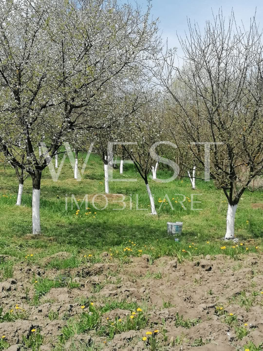 Casa Sat Elciu | Jud. Cluj | cu livada 3000 Mp |