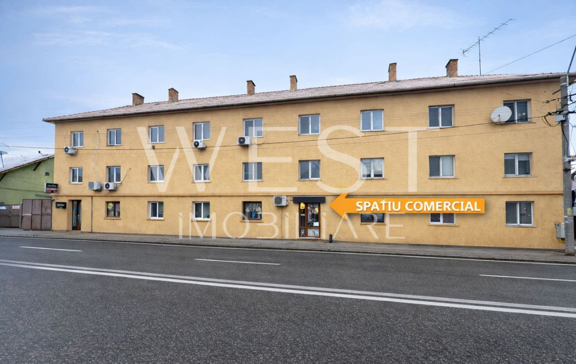 Oportunitate Investiție: Spațiu Comercial cu Vad , Zona Farmec Marasti