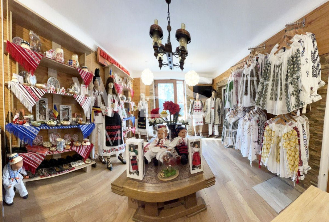 Oportunitate Investiție: Spațiu Comercial cu Vad , Zona Farmec Marasti