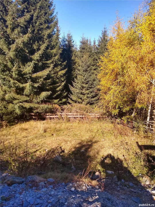 Teren intravilan Muntele Baisorii | Drum asfaltat | Utilități 