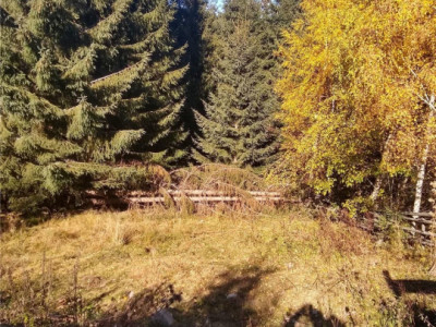 Teren intravilan Muntele Baisorii | Drum asfaltat | Utilități 