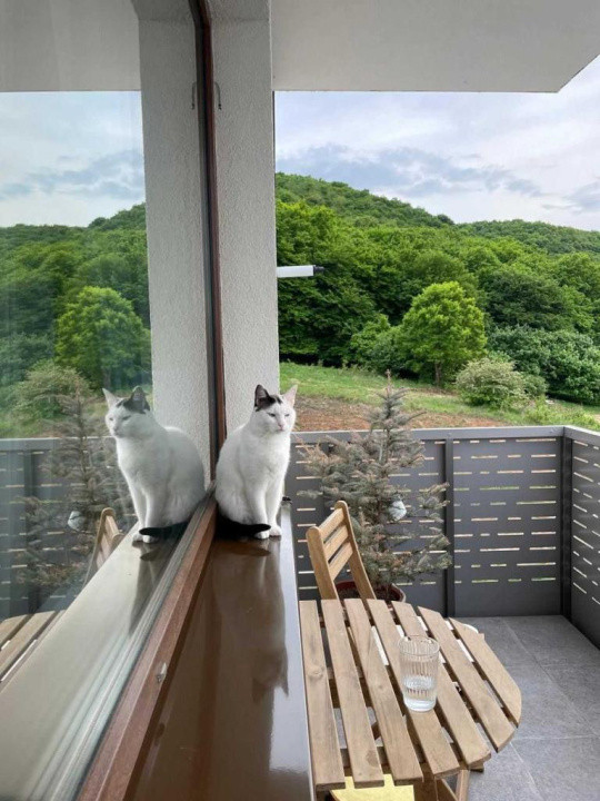 Apartament 2 camere, 48 mp + 2 parcări subterane incluse – Str. Sub Cetate