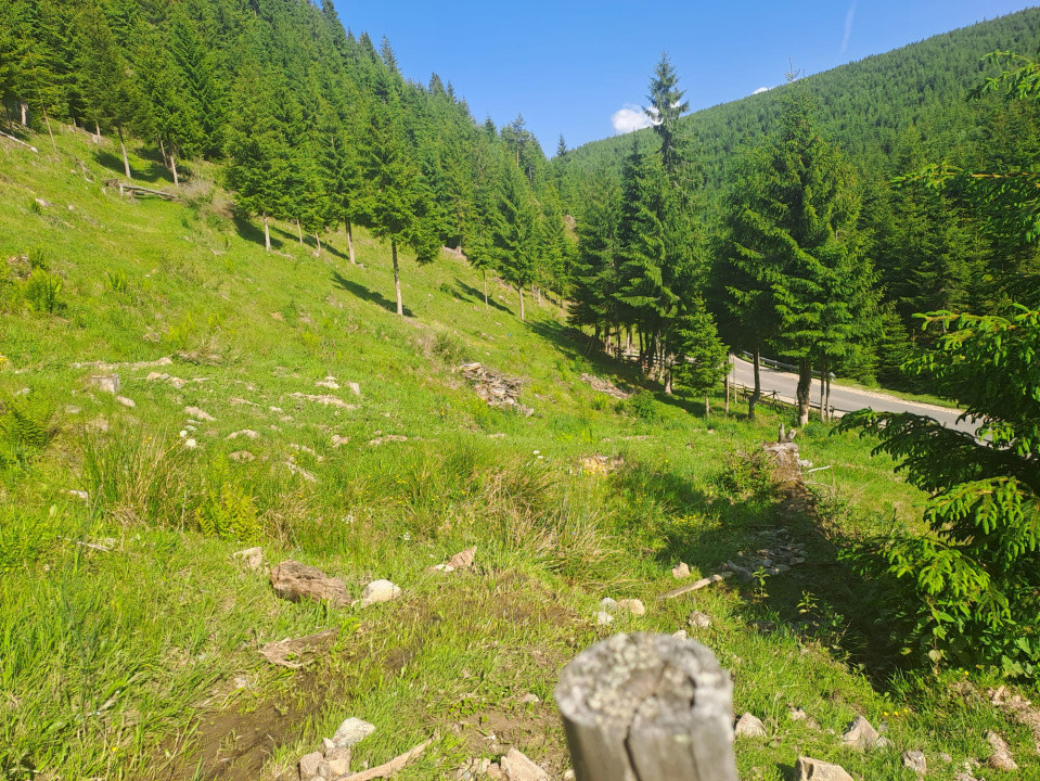 Teren Intravilan 1000mp | Drum ASFALTAT | MAGURI | PANORAMA