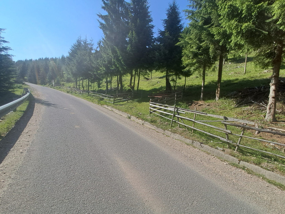 Teren Intravilan 1000mp | Drum ASFALTAT | MAGURI | PANORAMA