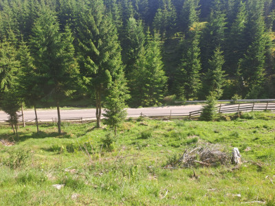 Teren Intravilan 1000mp | Drum ASFALTAT | MAGURI | PANORAMA