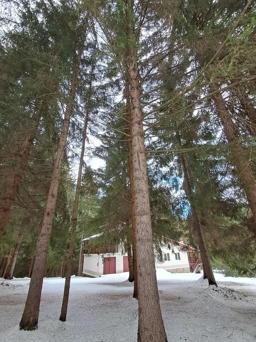 Casa de vacanta l la cheie l 2000 mp teren intravilan l Calatele Padure