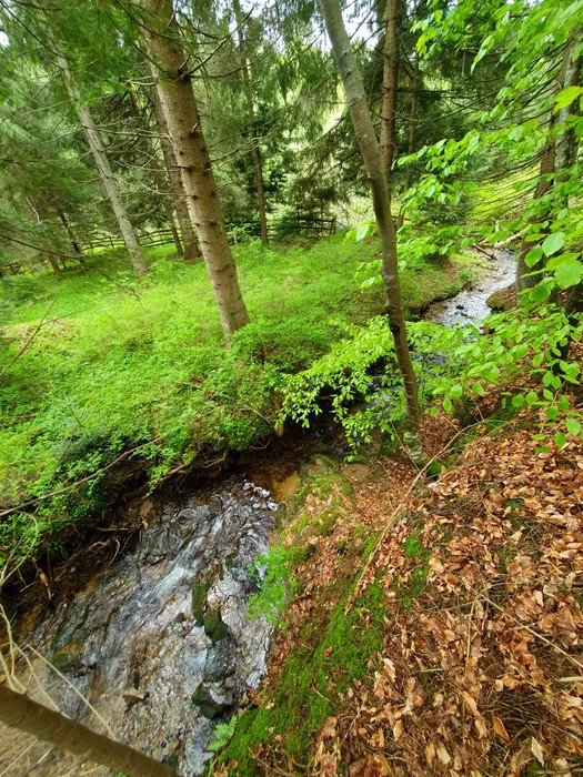 Casa de vacanta l la cheie l 2000 mp teren intravilan l Calatele Padure