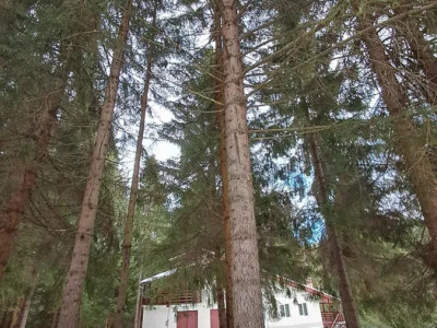 Casa de vacanta l la cheie l 2000 mp teren intravilan l Calatele Padure