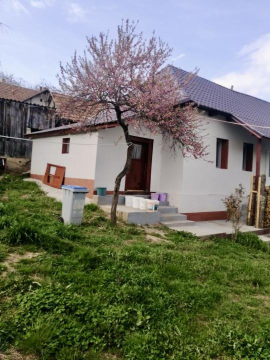 Casa RENOVATA INTEGRAL | CENTRUL SATULUI | 95mp UTIL | 900mp TEREN