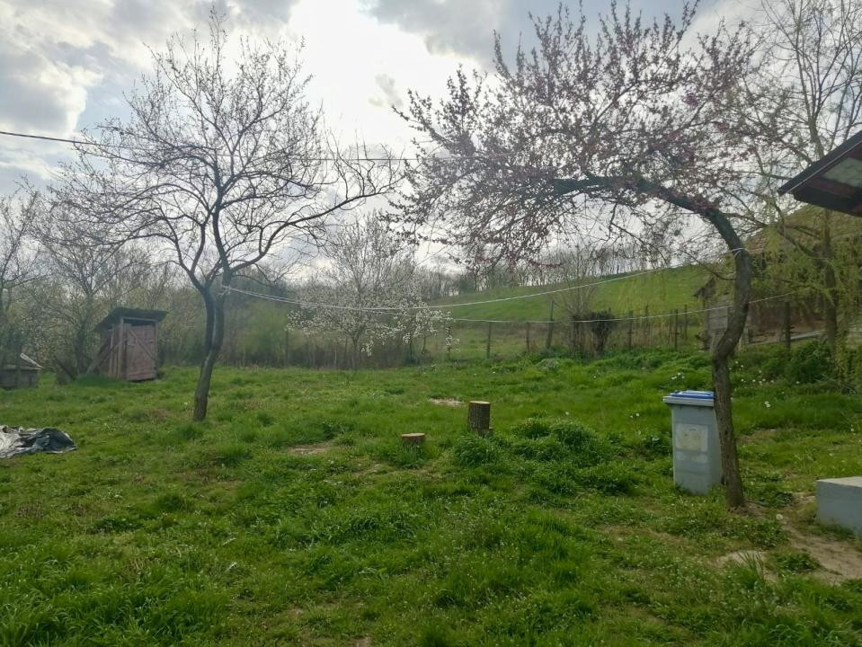 Casa RENOVATA INTEGRAL | CENTRUL SATULUI | 95mp UTIL | 900mp TEREN