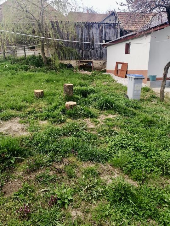 Casa RENOVATA INTEGRAL | CENTRUL SATULUI | 95mp UTIL | 900mp TEREN