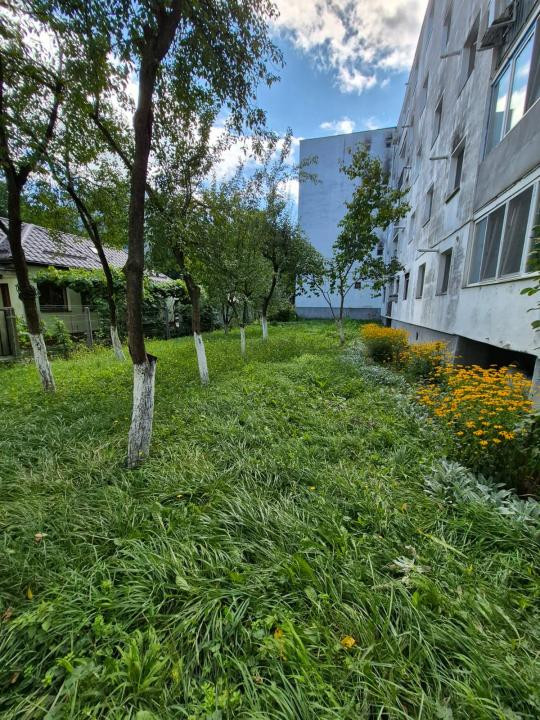 Apartament 3 camere – liniște, verdeață și confort în Mănăștur 🌿