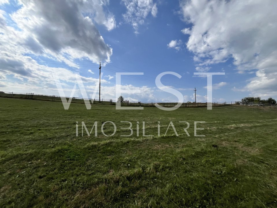 Teren în MĂGURI pretabil pentru cabană | 5600 m2 | Front 50m