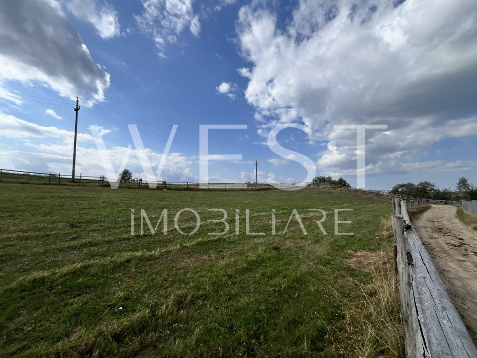 Teren în MĂGURI pretabil pentru cabană | 5600 m2 | Front 50m