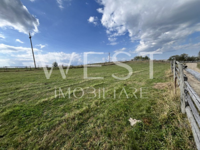 Teren în MĂGURI pretabil pentru cabană | 5600 m2 | Front 50m