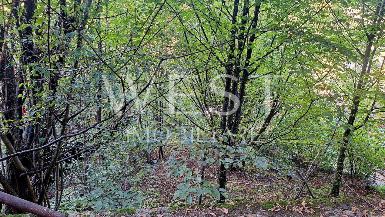 Teren TARNIȚA | Acces la lac | Zonă împădurită | 772mp
