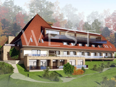 Teren SPECTACULOS pe lac | Tarnita | Autorizație de constructie 5700mp